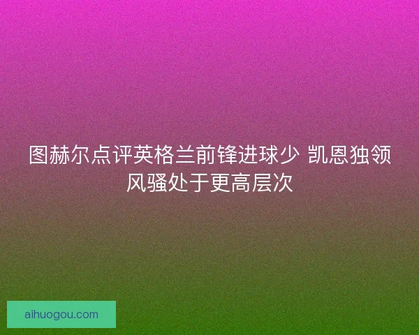 图赫尔点评英格兰前锋进球少 凯恩独领风骚处于更高层次