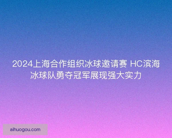 2024上海合作组织冰球邀请赛 HC滨海冰球队勇夺冠军展现强大实力