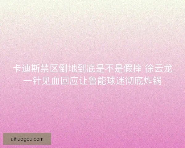 卡迪斯禁区倒地到底是不是假摔 徐云龙一针见血回应让鲁能球迷彻底炸锅